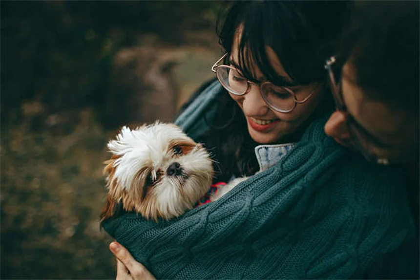 Oxazepam para cães: como usar esse ansiolítico com segurança?